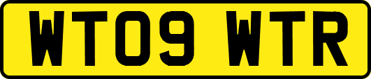 WT09WTR