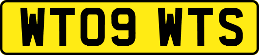 WT09WTS