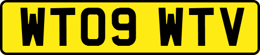 WT09WTV