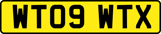 WT09WTX