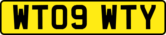 WT09WTY