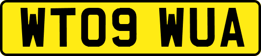 WT09WUA