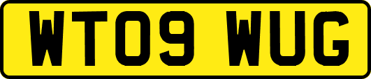 WT09WUG