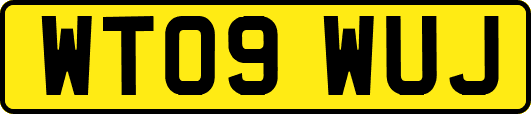 WT09WUJ