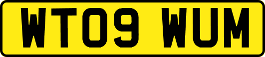 WT09WUM