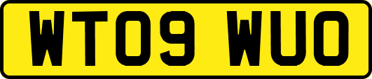 WT09WUO