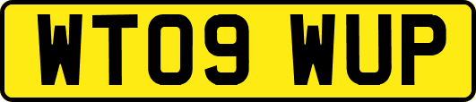 WT09WUP
