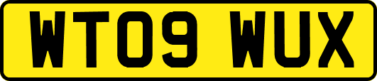 WT09WUX