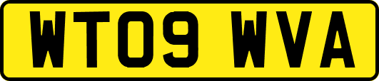 WT09WVA