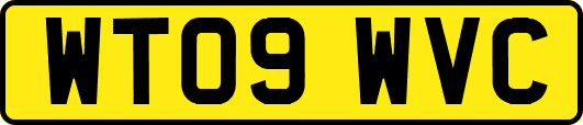 WT09WVC