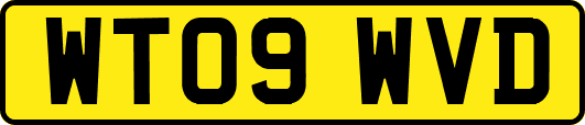 WT09WVD