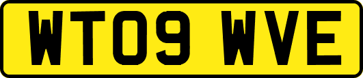 WT09WVE