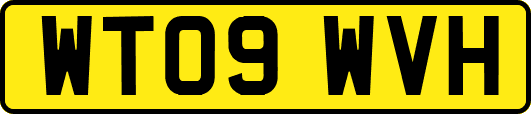 WT09WVH