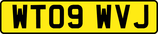 WT09WVJ
