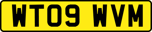 WT09WVM