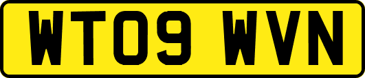 WT09WVN