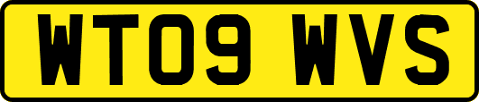 WT09WVS