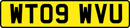 WT09WVU