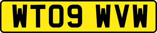 WT09WVW