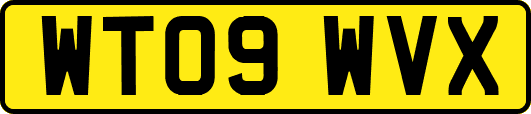 WT09WVX
