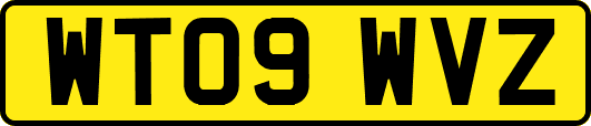 WT09WVZ