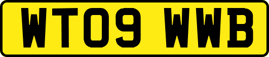 WT09WWB