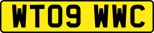 WT09WWC
