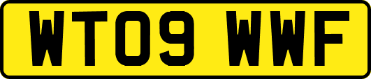 WT09WWF