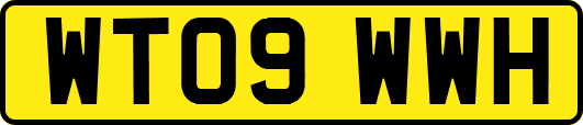 WT09WWH