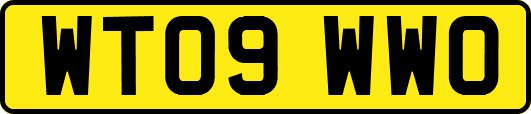 WT09WWO