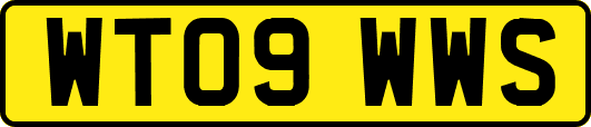 WT09WWS