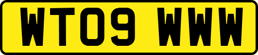 WT09WWW