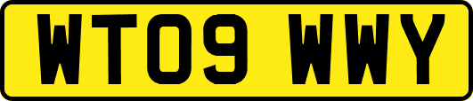 WT09WWY