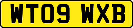 WT09WXB