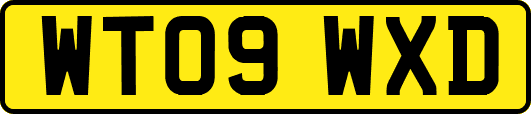 WT09WXD