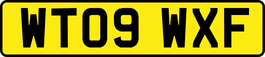 WT09WXF