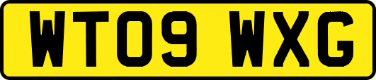 WT09WXG