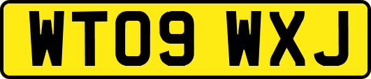 WT09WXJ