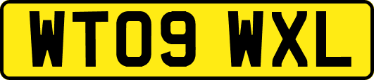 WT09WXL