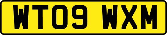 WT09WXM