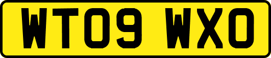WT09WXO