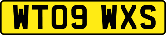 WT09WXS