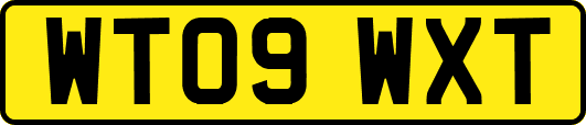 WT09WXT