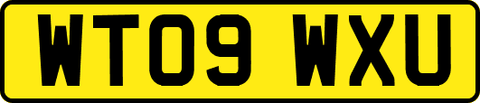 WT09WXU