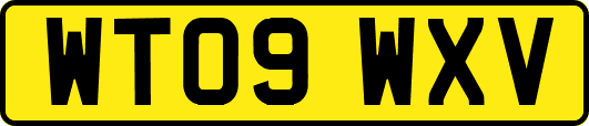 WT09WXV