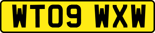 WT09WXW