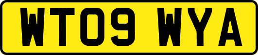 WT09WYA