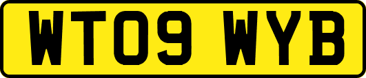 WT09WYB