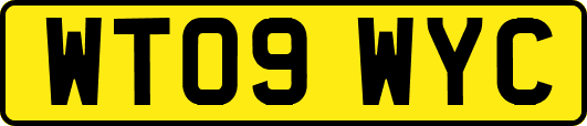 WT09WYC