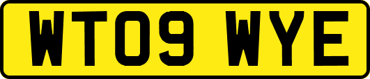 WT09WYE